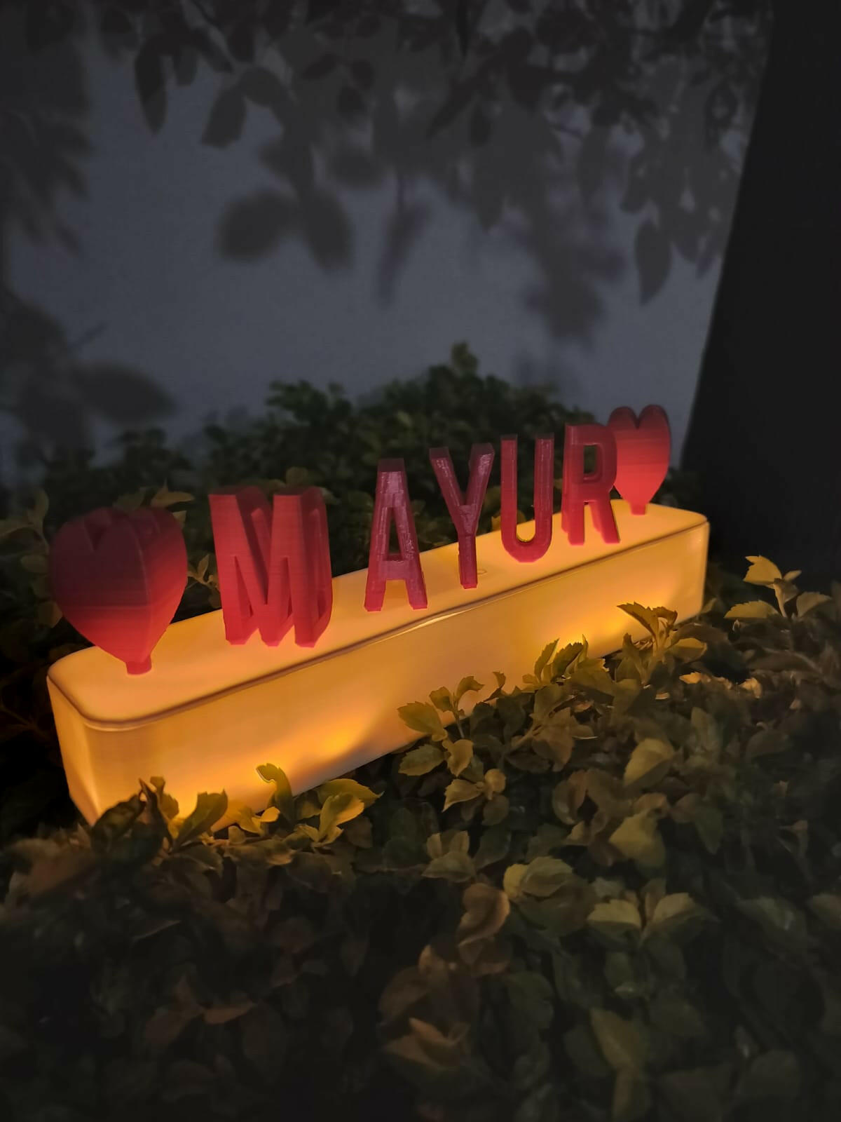 Dual Name Flip with Lights