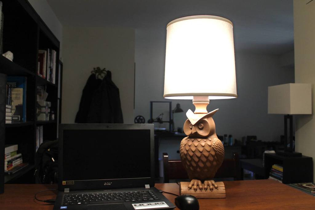 3D Printed Owl Lamp 🦉