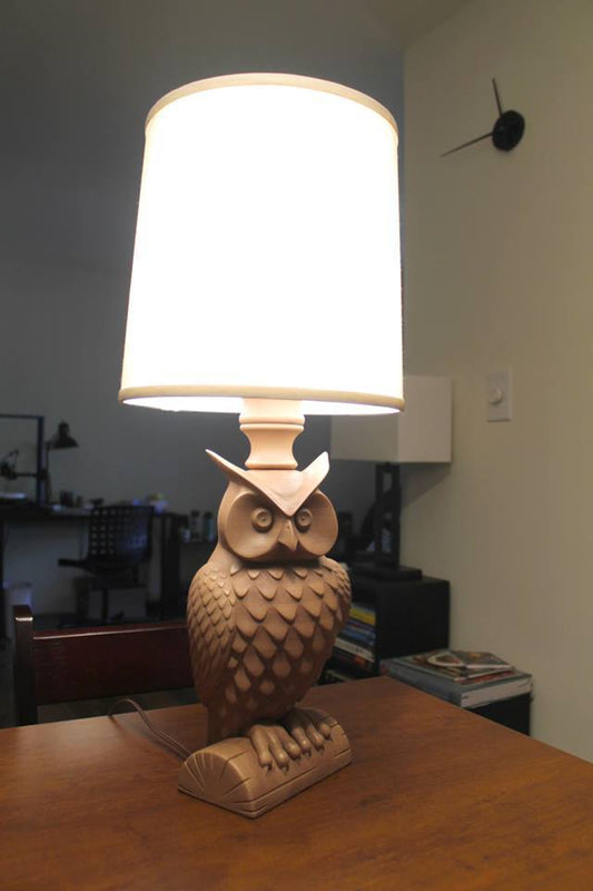 3D Printed Owl Lamp 🦉