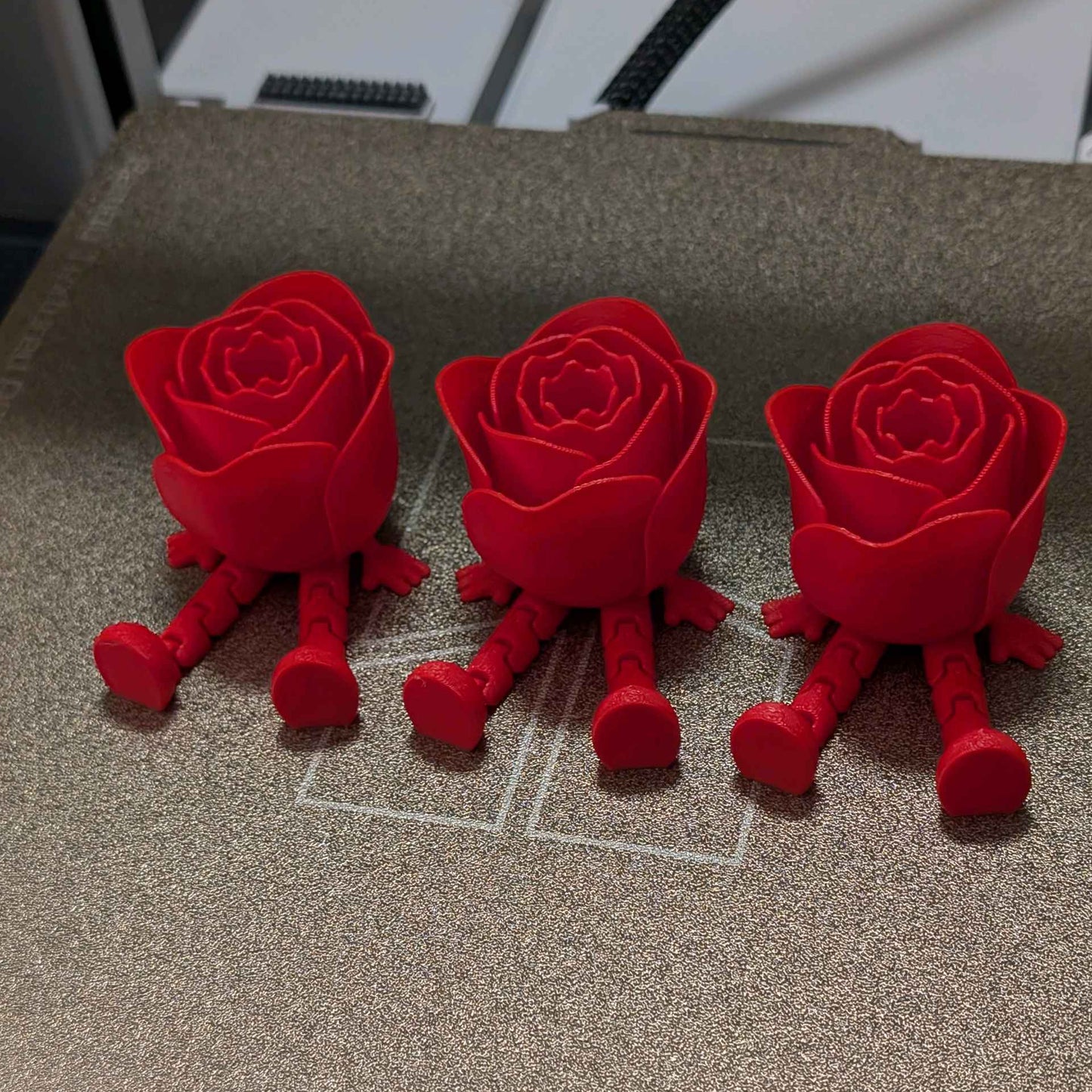 Articulated Rose