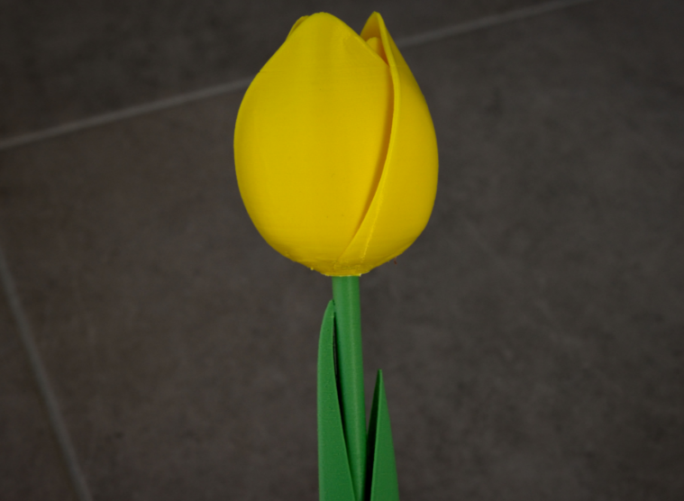 The Infinite Tulip – 3D Layered Botanical Sculpture & Modern Tabletop Decor | Elegant Everlasting Floral Gift for Her