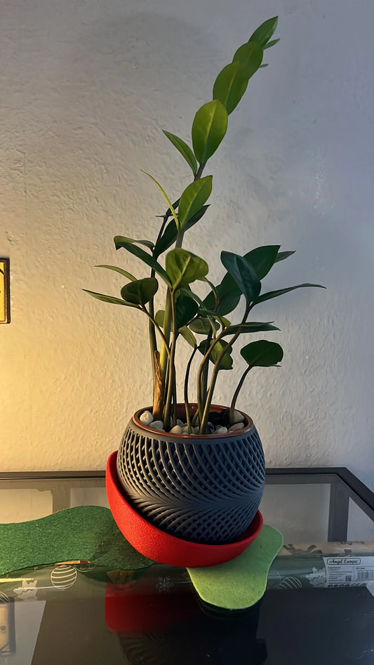 Drift Planter