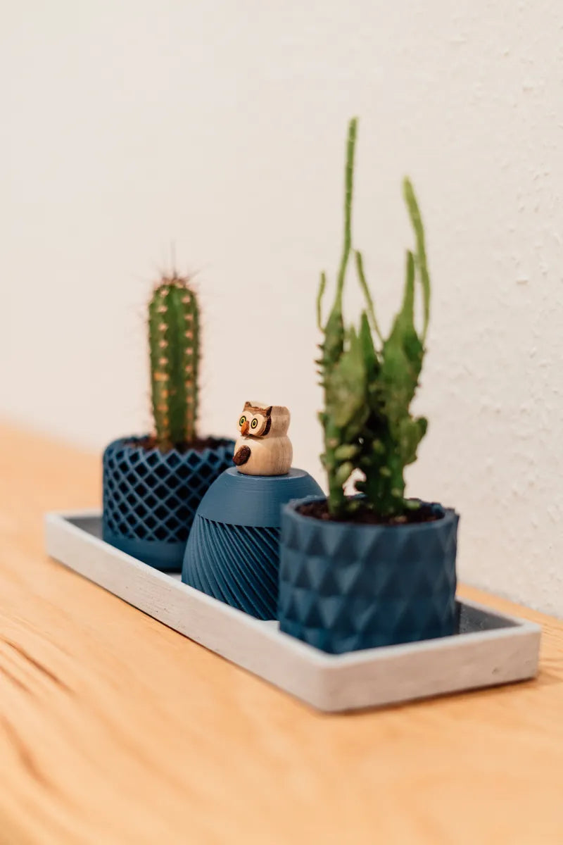 Modern Geometric Succulent Plant Pot (Set of 3)