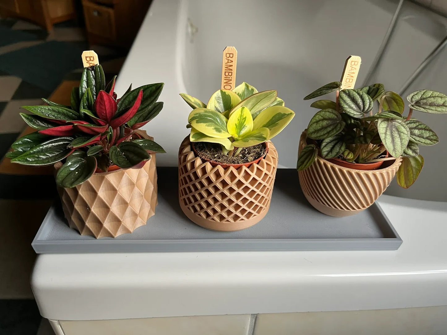 Modern Geometric Succulent Plant Pot (Set of 3)