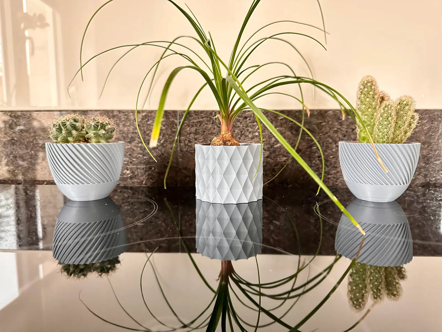 Modern Geometric Succulent Plant Pot (Set of 3)