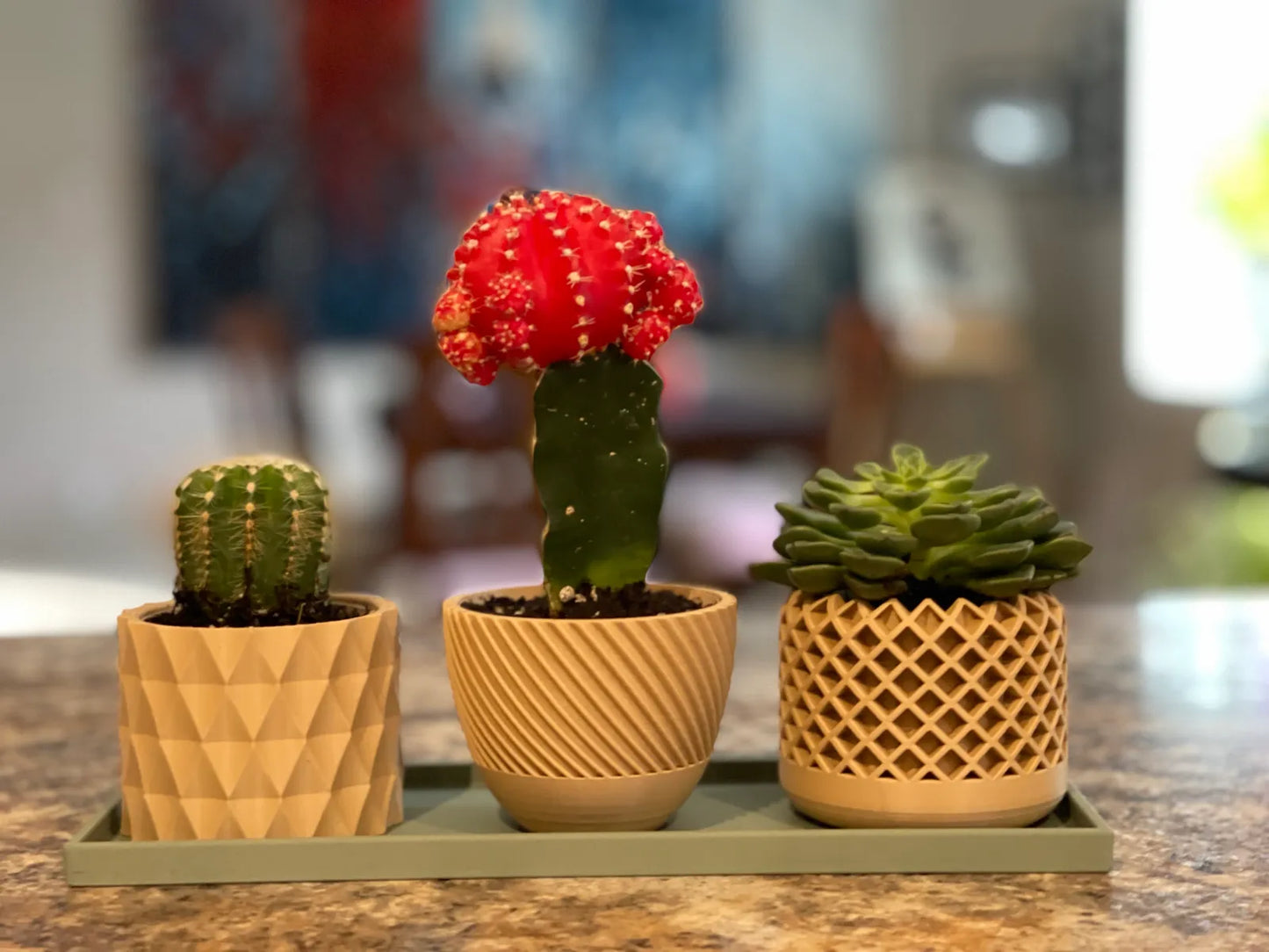 Modern Geometric Succulent Plant Pot (Set of 3)