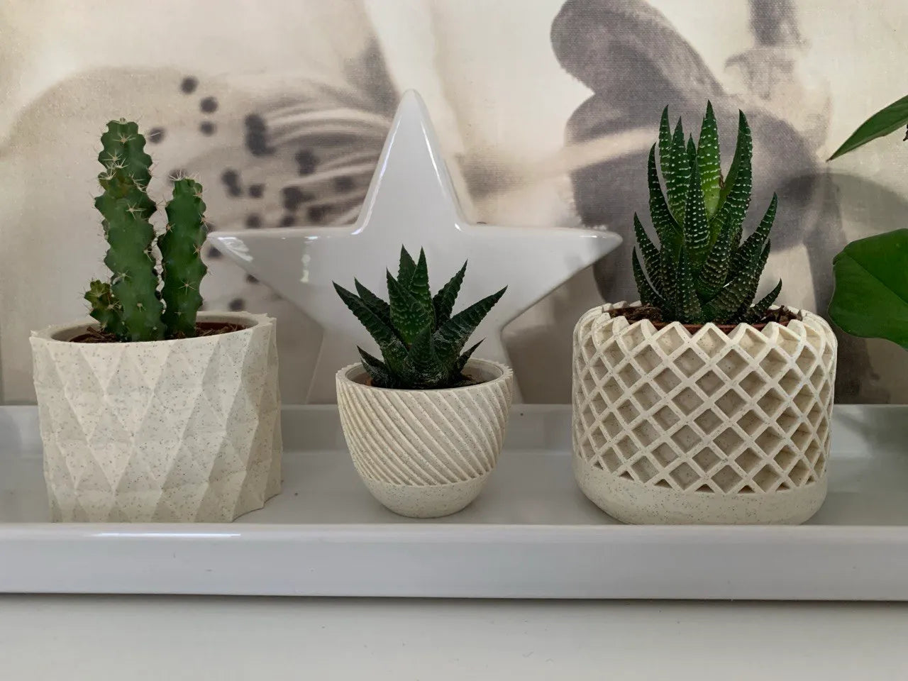 Modern Geometric Succulent Plant Pot (Set of 3)